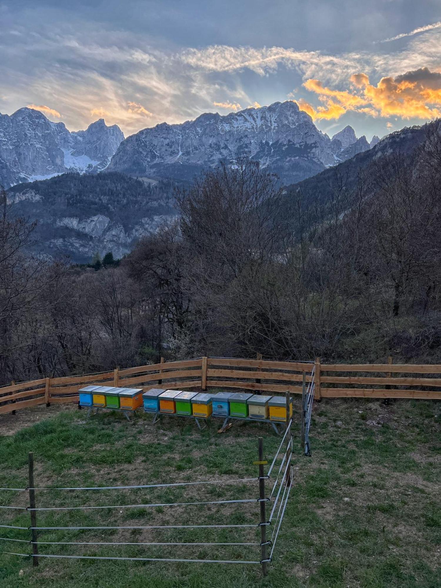 Agriturismo Ai Castioni Molveno Exteriör bild