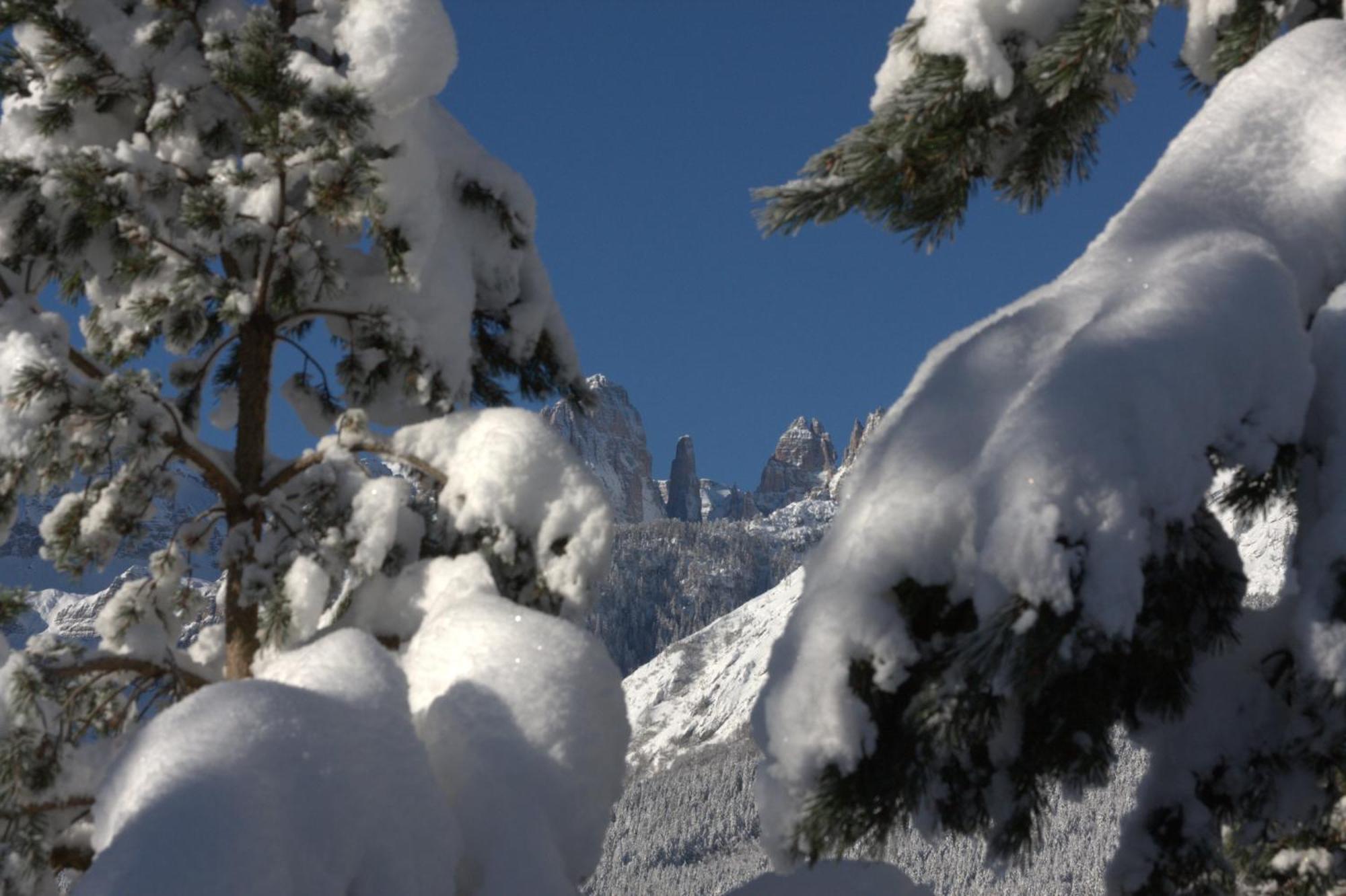 Agriturismo Ai Castioni Molveno Exteriör bild